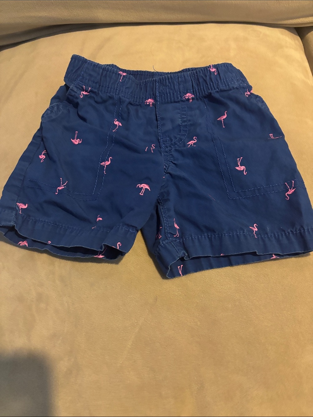 Carter's Navy Shorts with Pink Flamingo Print